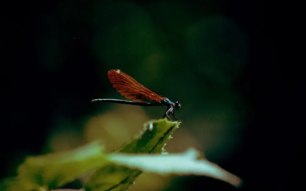 Above the surface 1
