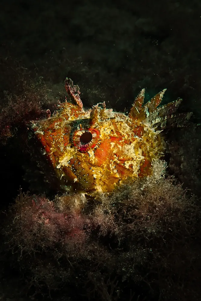 Below the surface 15