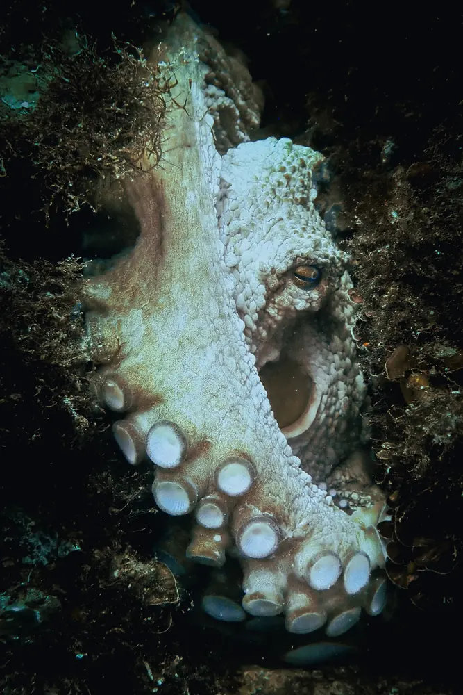 Below the surface 16