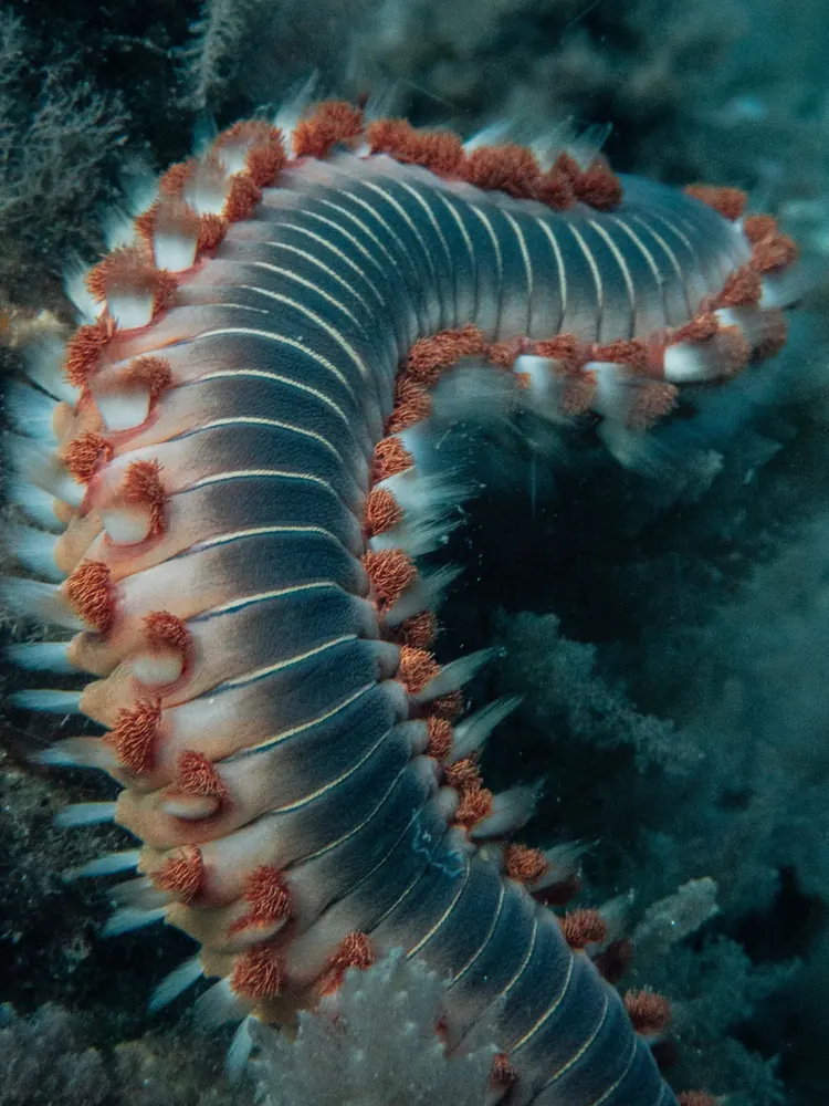Below the surface 23