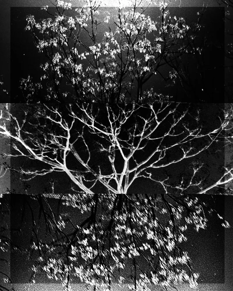 Between dreams 15