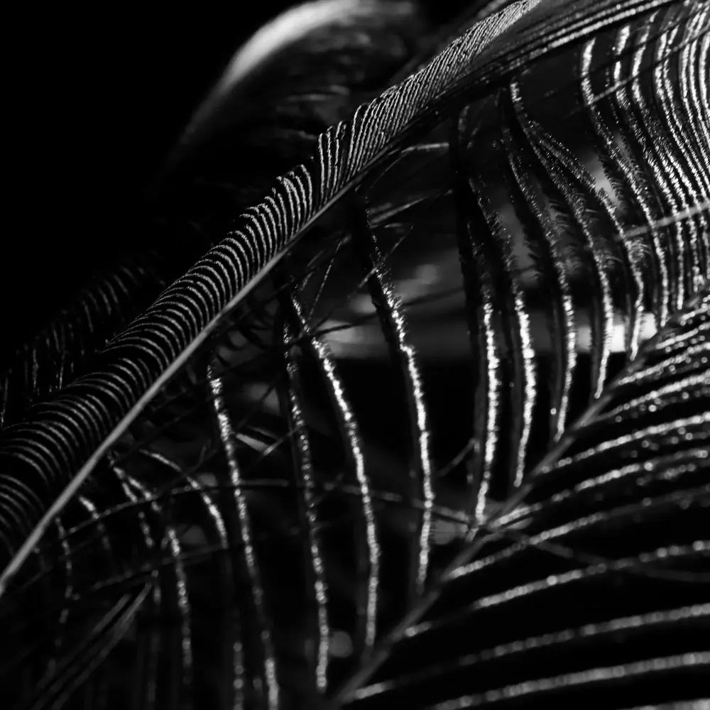 Between dreams 19
