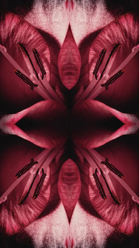 Between dreams 26